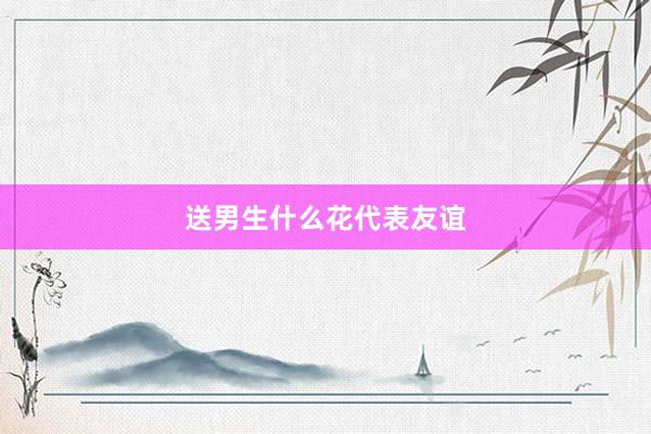 送男生什么花代表友谊